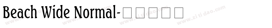 Beach Wide Normal字体转换